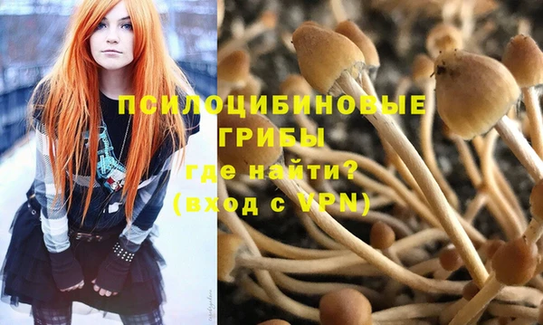 мескалин Белокуриха